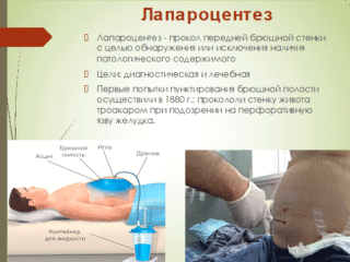 Техника выполнения лапароцентеза у животных | что говорят насекомые