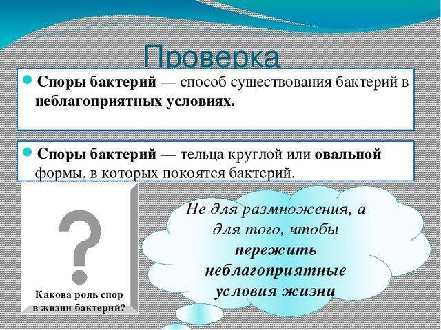 Кефир и живые бактерии – полезно ли это для организма человека?