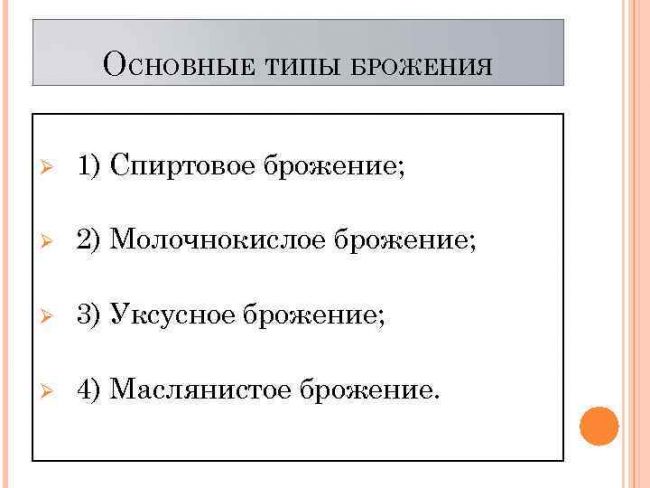 Значение бактерий в природе и жизни человека