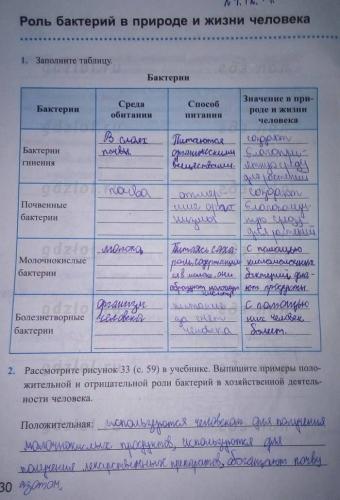 Патогенные или болезнетворные микроорганизмы – причина инфекционных заболеваний