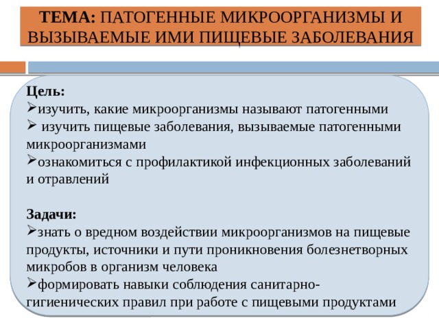 Самые полезные бактерии и их названия