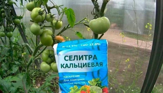 Фунгицид Хорус