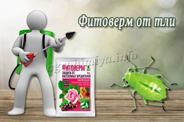 Фитоверм