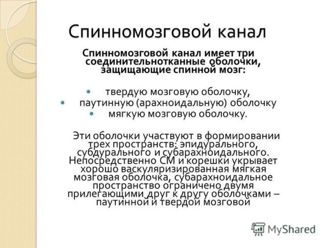 Анатомия эпидурального пространства - морган э. дж. клиническая анестезиология. книга 1 - ?????? - ??????????? ??????????????...