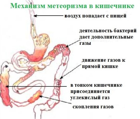 Чай плантекс для новорожденных