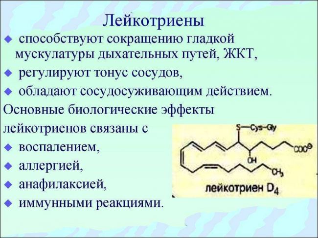 Cовременные антилейкотриеновые препараты при лечении астмы