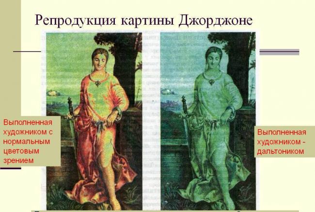 Дальтонизм: как устроена цветовая слепота?