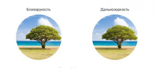 Таблица сивцева для проверки зрения в режиме онлайн