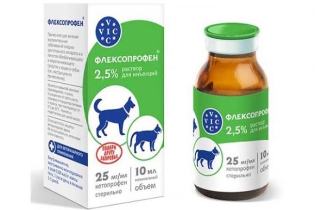 Как колоть Флексопрофен для кошек