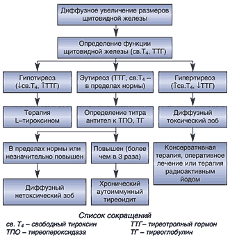 Причины, симптомы, степени и лечение увеличения щитовидной железы