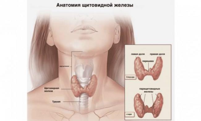 Чем опасна увеличенная щитовидная железа?