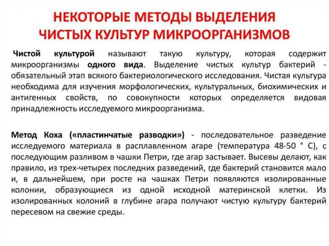 Выделение чистой культуры молочнокислых бактерий - общая и пищевая микробиология часть i - л. в. красникова - 2016