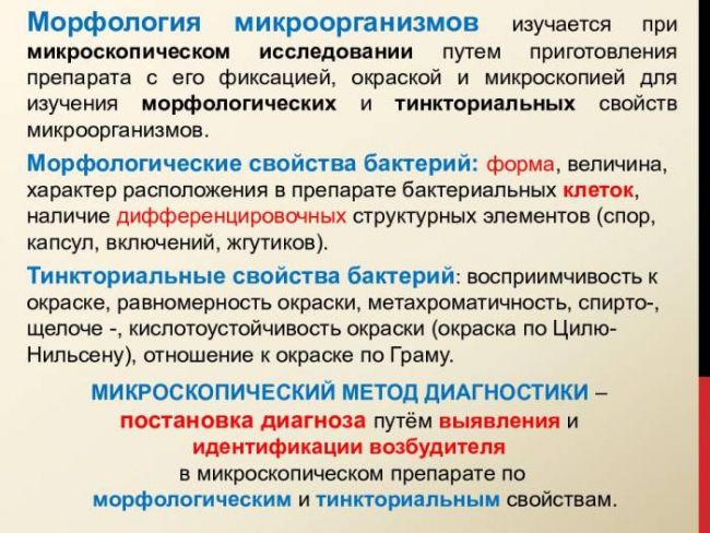 Бактерии представляют собой: а)одноклеточные организмы разной формы;б)одноклеточные и колониальные организмы различной формы;в) многоклеточные, английский язык