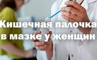 Escherichia coli в моче — чем лечить?