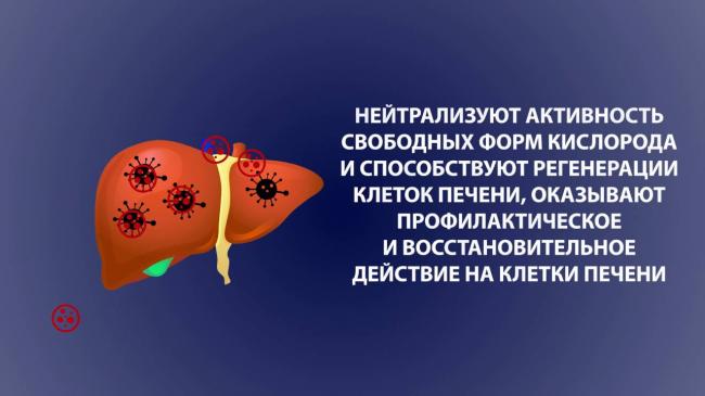 Ученые изобрели лекарство от цирроза