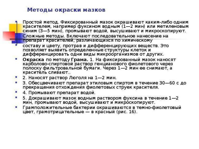 Методы как инструменты изучения бактерий их основных свойств