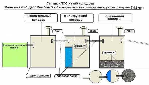 Бактерии для септика не боящиеся химии