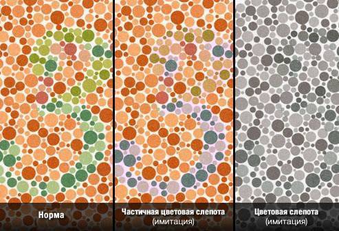 Проверка цветоощущения по таблицам рабкина онлайн с ответами