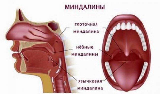 Ушные капли: при отите, с антибиотиком, для детей, капли в уши от воспаления, от боли