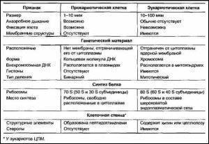 Какие особенности в строении клеток бактерий, животных и растений
