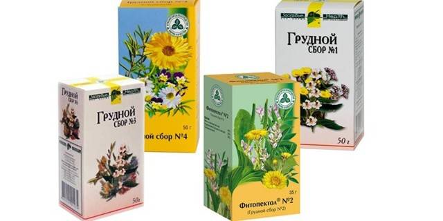 Действие грудного сбора при кашле