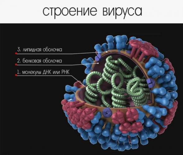 Популярные группы