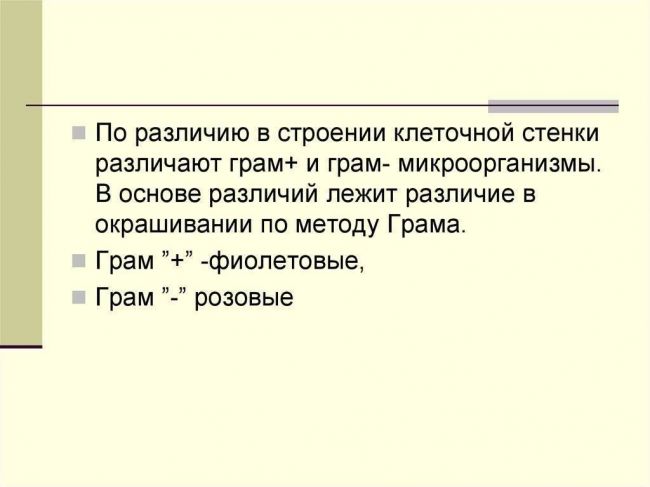 Бактерии