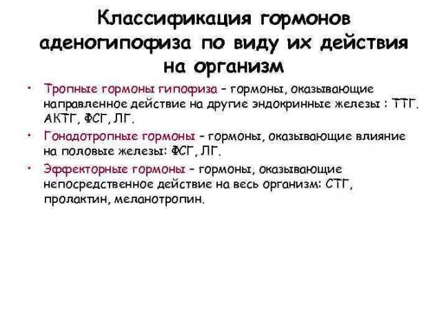 Актг — адренокортикотропный гормон