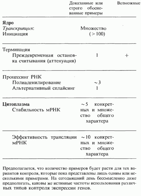 Экспрессия генов. что такое экспрессия генов?