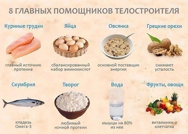 Питание для эндоморфа