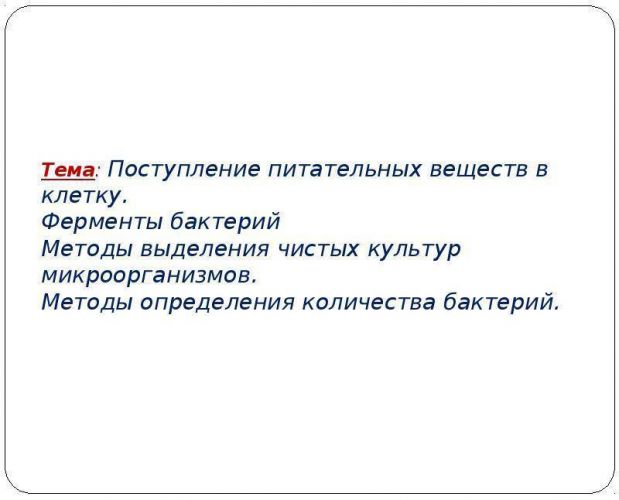 Что такое бактериальная культура, или воспитание «ручных» микроорганизмов