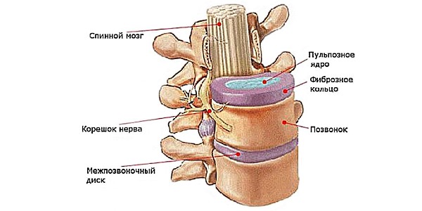 Препарат дона