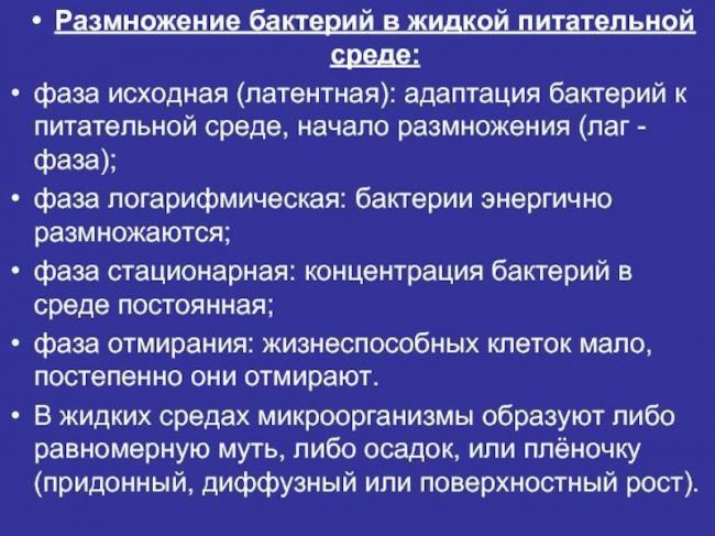 Царство бактерий, строение и жизнедеятельность мельчайших организмов