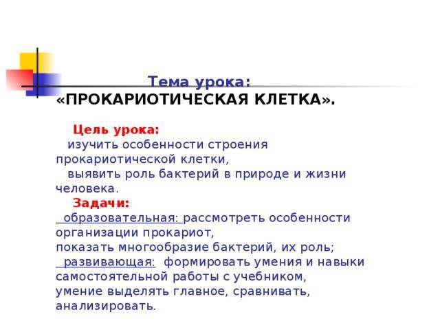Бактерии – добрые или злые живые организмы?
