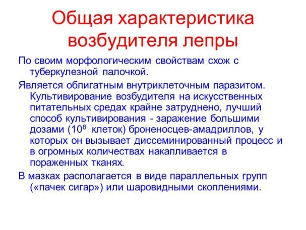 Палочка коха: что это такое, как передается и сколько живет