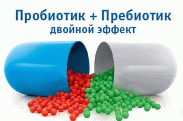 Бактерии и вещества в продуктах питания: полезные и не очень