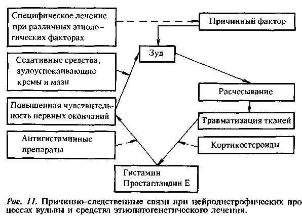 Крауроз вульвы: что это такое и как лечить. почему развивается и какие симптомы?