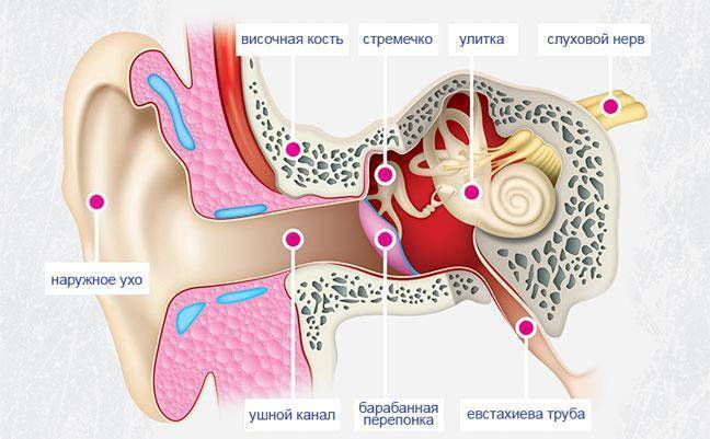 Шум в ушах. причины, диагностика и эффективное лечение симптома. к какому врачу обращаться, народные методы лечения :: polismed.com