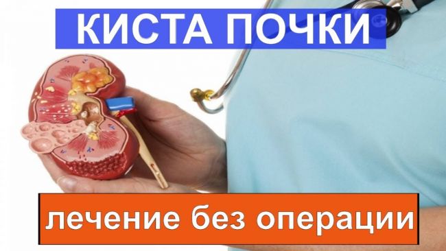 Как лечить почки народными средствами быстро и эффективно