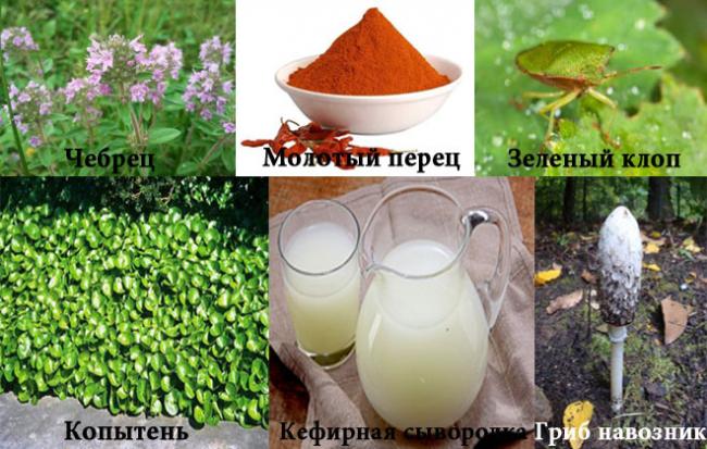 Капли от пьянства без ведома больного