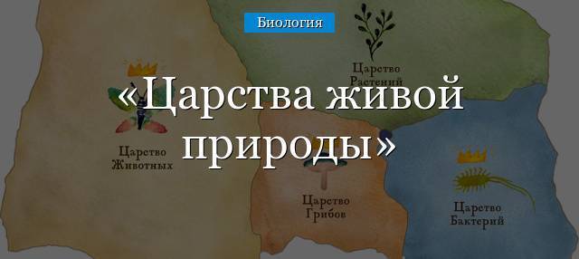 Что важно знать о болезнетворных бактериях, их разновидностях и способах питания