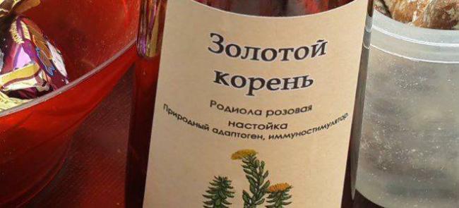 Родиола розовая лечебные полезные свойства и противопоказания