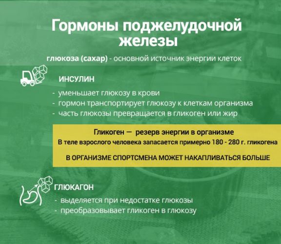Какие гормоны вырабатывает поджелудочная железа и за что они отвечают?