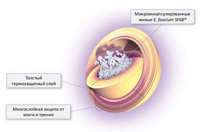 Fortiflora для собак инструкция по применению
