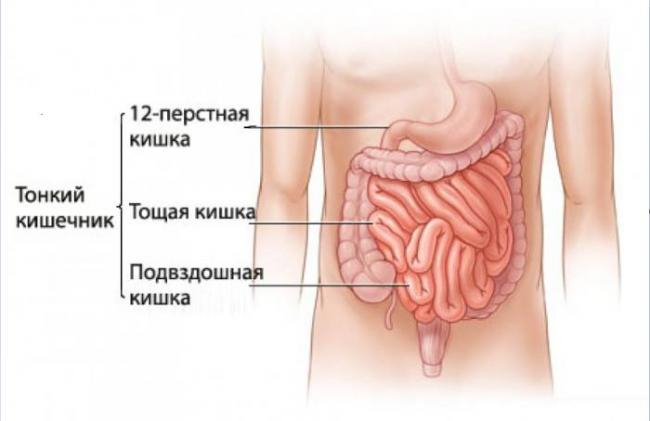 Что есть при спаечной болезни кишечника