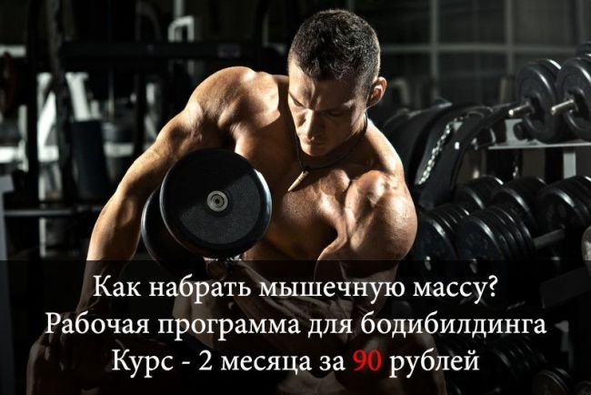 Питание и диета арнольда шварценеггера на массу