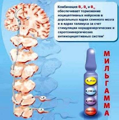 Мильгамма Композитум Milgamma Compositum инструкция по применению