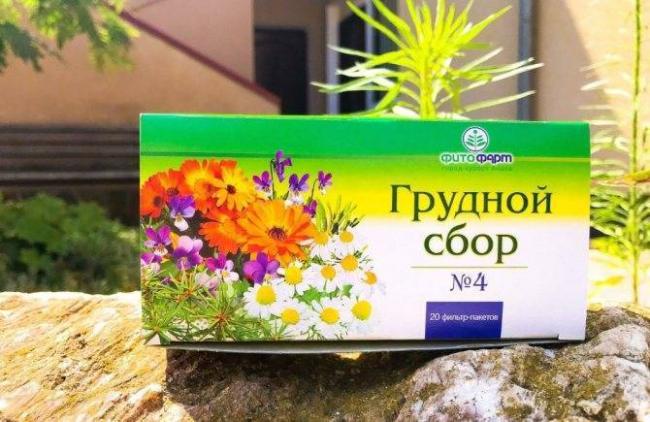 Какие травы входят в грудной сбор от кашля