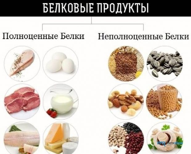 Высокобелковая диета для набора