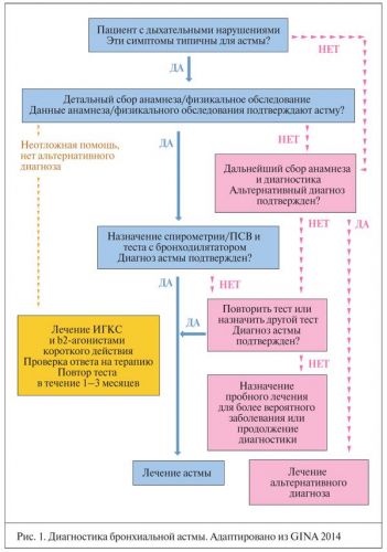 Неотложная помощь при приступе бронхиальной астмы у детей